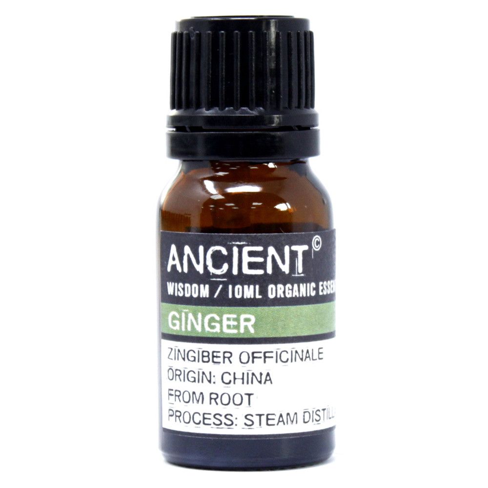 Organic Ginger Essential Oil ~ 10ml