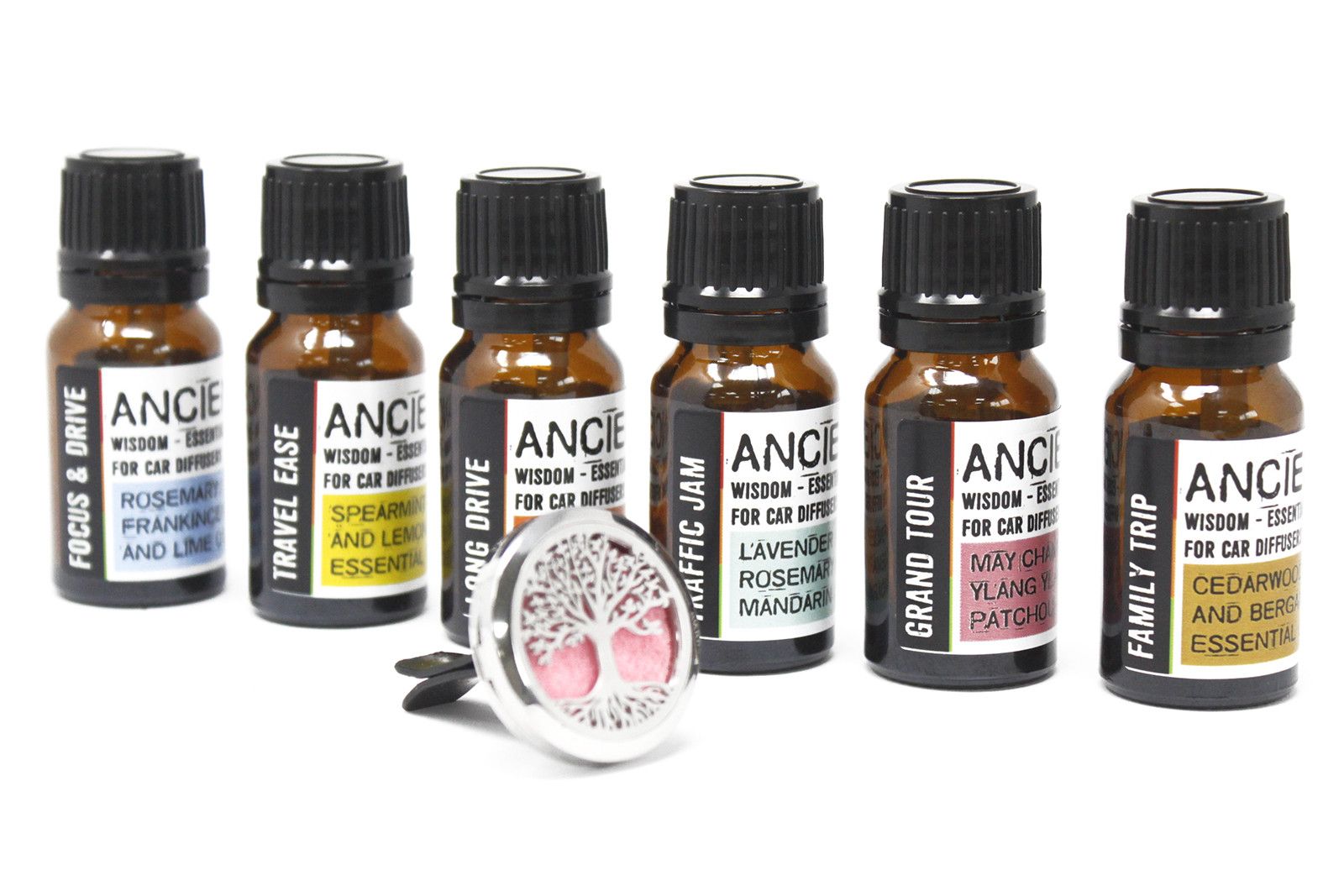 Aromatherapy Family Trip Car Blend ~ 10ml