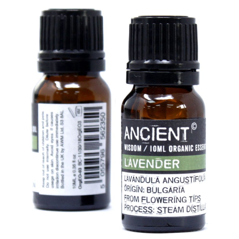 Organic Ginger Essential Oil ~ 10ml